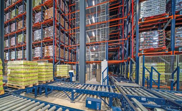 一次全面体检，提高仓储效率与安全双重保障